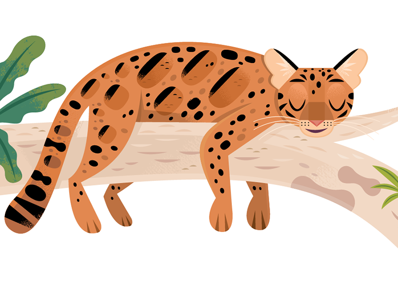 Leopard Kochschürze African Predator Tier Fester Digitaldruck